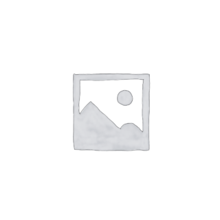 Donec ullamcorper turpis